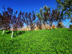 -永定河休闲森林公园