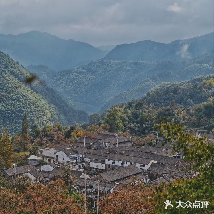宁波周边｜柿林村的柿子红了，愿柿柿如意