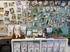 -爱妮康宠物医院·干细胞免疫细胞·肿瘤·心脏(张江店)