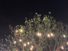 -潮里屯(唯品同创汇店)