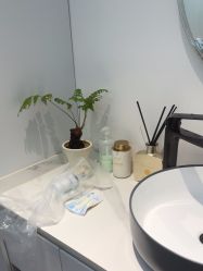 -WENDY·温迪皮肤管理