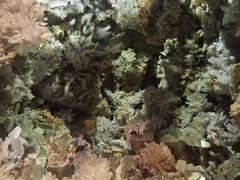 -湖南省地质博物馆