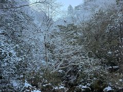 -黄山玉屏楼宾馆餐厅