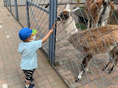 -长白岛森林公园