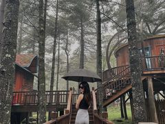 -洛阳白云山景区