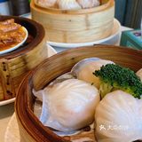 长春美食/正宗粤菜餐厅—俪璟园