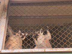 -泉州海丝野生动物世界