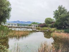 -青龙湖公园