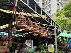 -曲阳花鸟市场(曲阳路店)