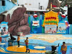 -海合安成都极地海洋公园