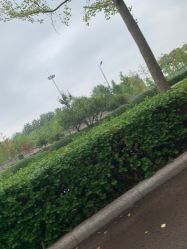 -HEYAN长风荷妍专业脱毛美肤
