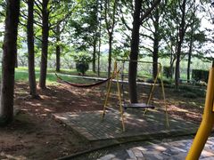 -军山湖云水间生态农业旅游景区