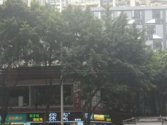 -探窝·竹笙椰子鸡(杨箕店)