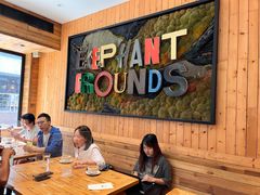 -Elephant Grounds(STARSTREET)