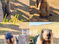 -黄河九曲第一湾