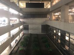 -虹桥综合交通枢纽-P6停车库