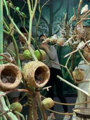 -Zoolung Zoolung动物主题公园(海信广场店)