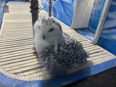 -成都浩海立方海洋公园