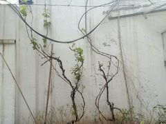 -禧福徕盆盆香川菜馆(北京市朝阳区)