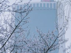 -西北湖绿化广场