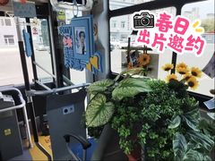 -山西体育中心红灯笼体育场