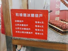 -和禄德冰糖葫芦