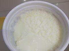 原味双皮奶-清真马记宫廷奶酪(农光里店)