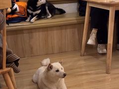 -柴の食堂·日式家庭料理·熊之肆(大学路店)