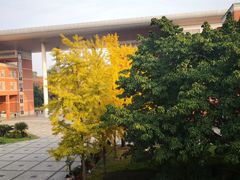 -四川大学(望江校区)