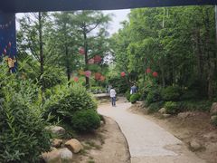 -上海长兴岛郊野公园