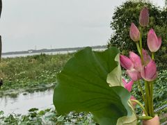 -东山雕花楼