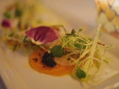 惠林顿套餐-蝶舍·MAISON PAPILLON