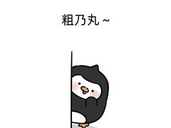 -东湖欢乐水世界