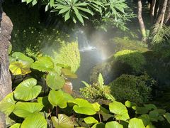 -Chom Cafe and Restaurant