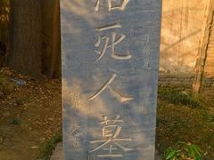 -活死人墓