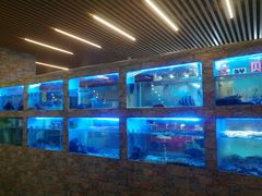 水产区-桃源尚品海鲜酒楼(京港澳高速店)