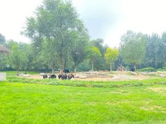 -北京野生动物园