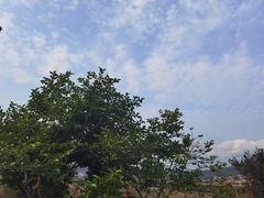 -腾冲和顺柏联酒店