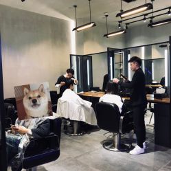 -SEBASTIAN塞巴斯汀