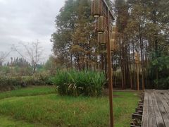 -长田漾湿地公园