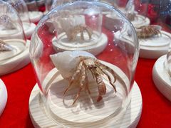 -摩登百货(岗顶店)