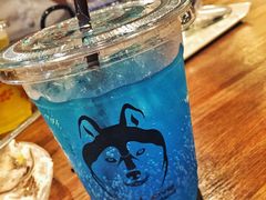 -TrueLove @ Neverland (Husky Cafe)