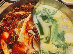 -青瓷火锅料理(西单大悦城店)