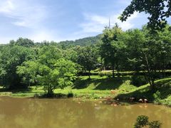 -合肥野生动物园