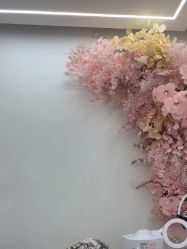 -苗方清颜痘肌研究所
