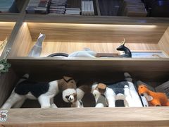 -晓风书屋(大学路店)