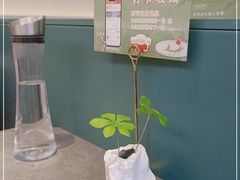-江南里·新浙菜(苏州大悦城店)