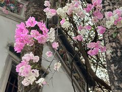 -深圳国际园林花卉博览园