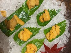 -月龍吟(朝龙汇店)