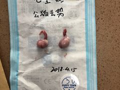 -芭比堂动物医院·犬猫全科·异宠专科(雁塔分院)